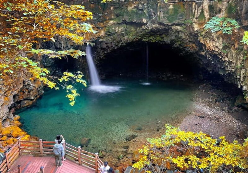 Seasonal Pocheon Full Day Tour with Apple Farm Experience - FAQ
