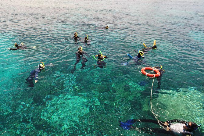 Seastar Luxury Outer Great Barrier Reef Island and Reef Tour - Starting Point and Logistics