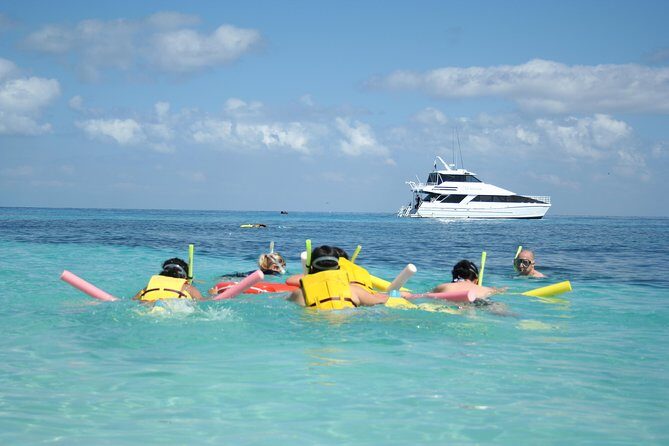 Seastar Luxury Outer Great Barrier Reef Island and Reef Tour - Considerations and Drawbacks