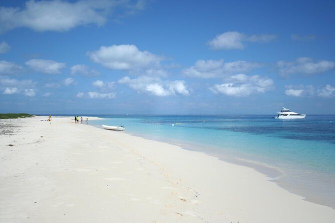 Seastar Luxury Outer Great Barrier Reef Island and Reef Tour - Value for Money