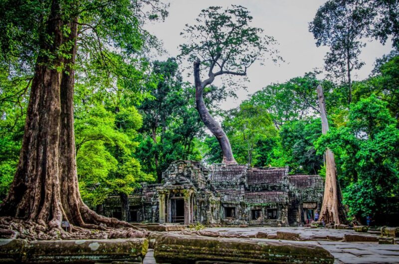 Seat-In-Coach: Small Circuit tour with Sunrise at Angkor Wat - Who Is This Tour Best For?