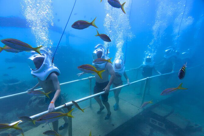 SeaTrek Tour St. Maarten - Key Points