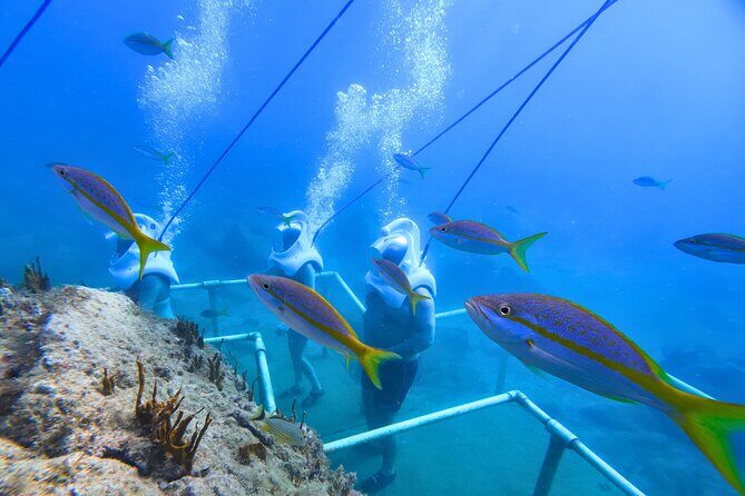 SeaTrek Tour St. Maarten - The Itinerary in Detail