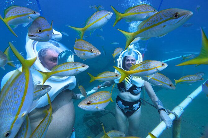 SeaTrek Tour St. Maarten - Authentic Experiences and Guest Feedback