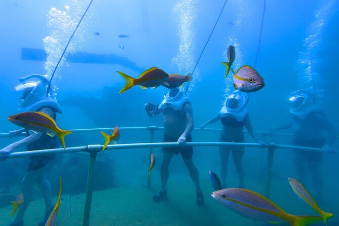 SeaTrek Tour St. Maarten - FAQs