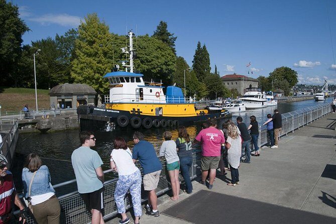 Seattle City and Snoqualmie Falls Half-Day Guided Tour - The Bottom Line: Who Should Book This?