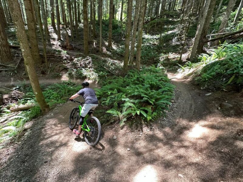 Seattle: Half Day All-Inclusive Mountain Bike Tour - Final Thoughts