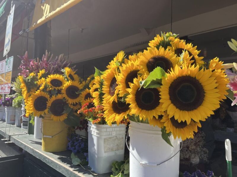 Seattle: Meet Me at the Market Food Tour - The Sum Up
