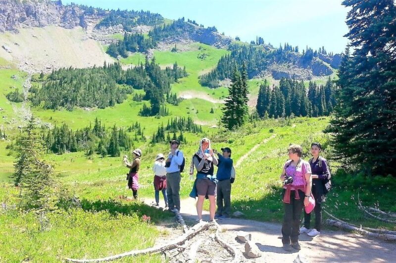 Seattle: Mount Rainier Park All-Inclusive Small Group Tour - The Cost and What You’re Getting