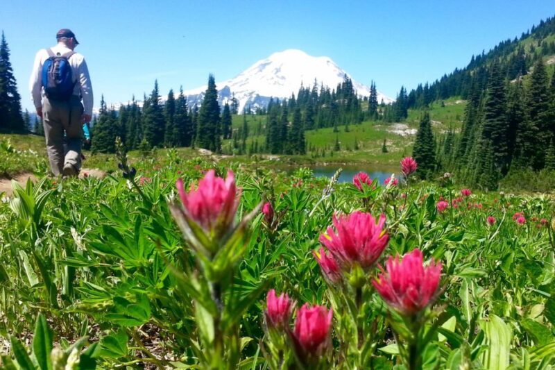 Seattle: Mount Rainier Park All-Inclusive Small Group Tour - The Experience Quality