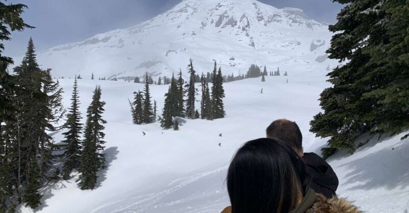 Seattle: Mt. Rainier Hiking w/ Waterfalls, Glaciers & Trees - An Overview of the Tour