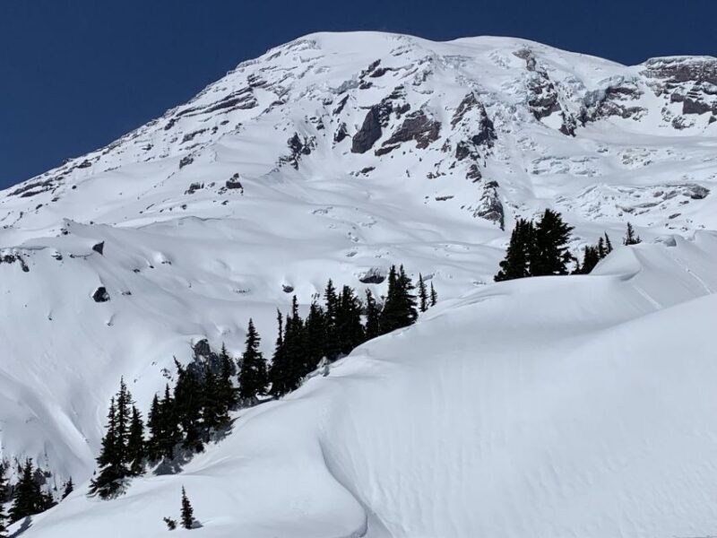 Seattle: Mt. Rainier Hiking w/ Waterfalls, Glaciers & Trees - The Practical Details