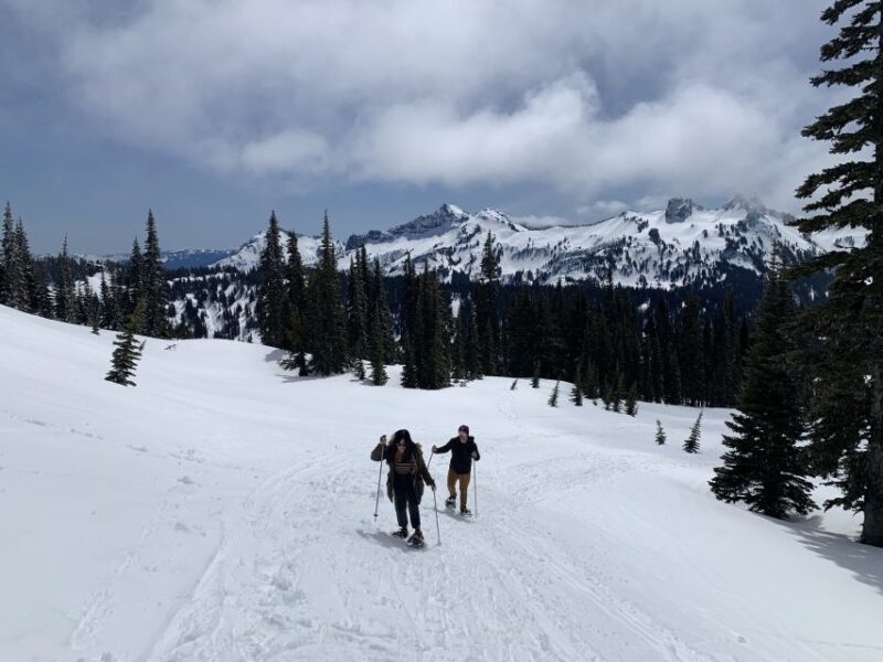 Seattle: Mt. Rainier Hiking w/ Waterfalls, Glaciers & Trees - What Reviewers Are Saying