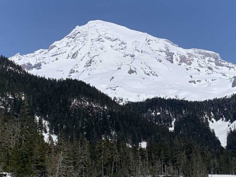 Seattle: Mt. Rainier Hiking w/ Waterfalls, Glaciers & Trees - Final Thoughts: Who Is This Tour Best For?