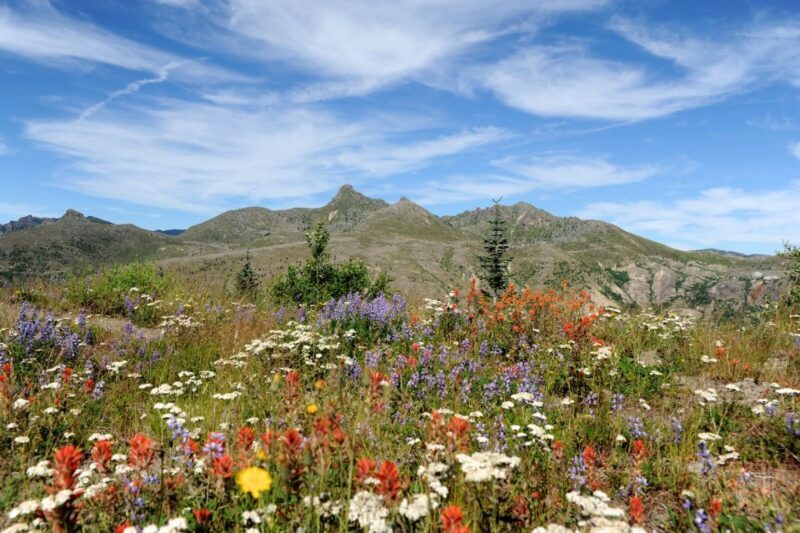 Seattle: Mt. St. Helens National Monument Small Group Tour - The Value of the Experience