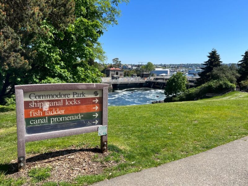 Seattle: Private 2.5 Hour Seattle City Tour - An In-Depth Look at the Tour Experience