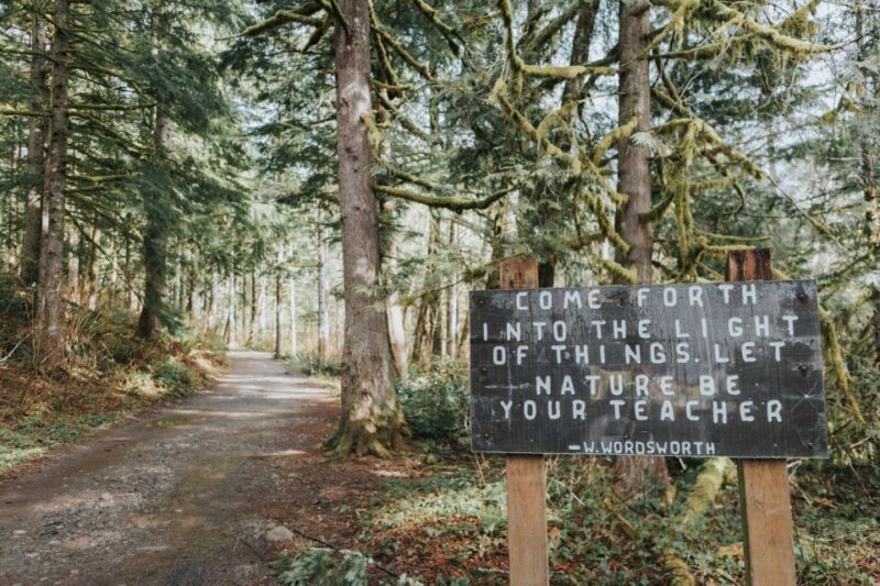 Seattle: Waterfall Wonderland Hike in Wallace Falls Park - Who This Tour Is Best For