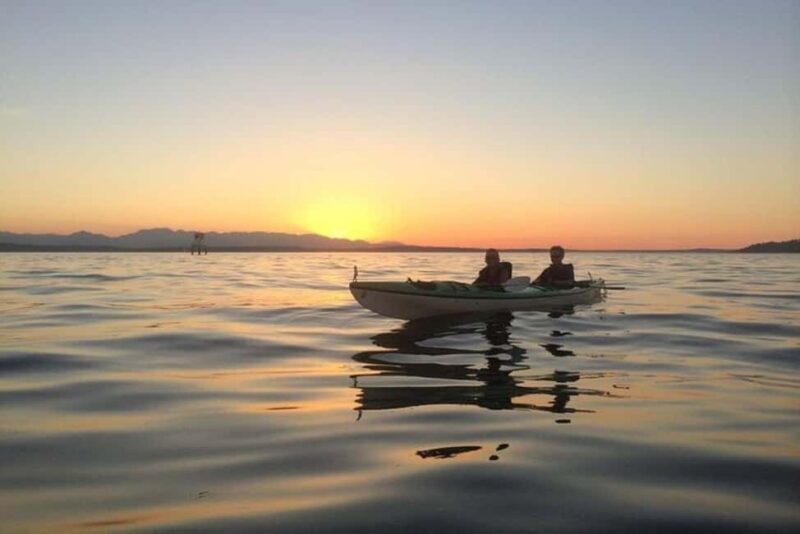 Seattle: West Seattle Sunset Sea Kayak Tour - Key Points