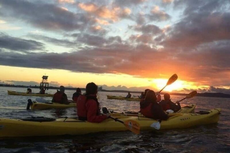 Seattle: West Seattle Sunset Sea Kayak Tour - An In-Depth Look at the West Seattle Sunset Sea Kayak Tour