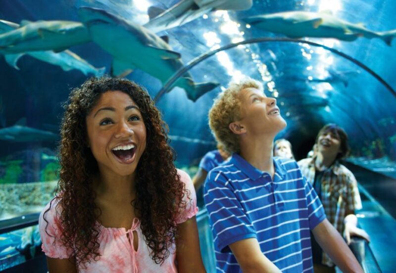 SeaWorld Orlando: Park Admission Ticket - The Layout and Attractions: What to Expect