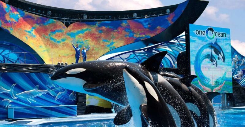 SeaWorld Orlando: Park Admission Ticket - The Sum Up