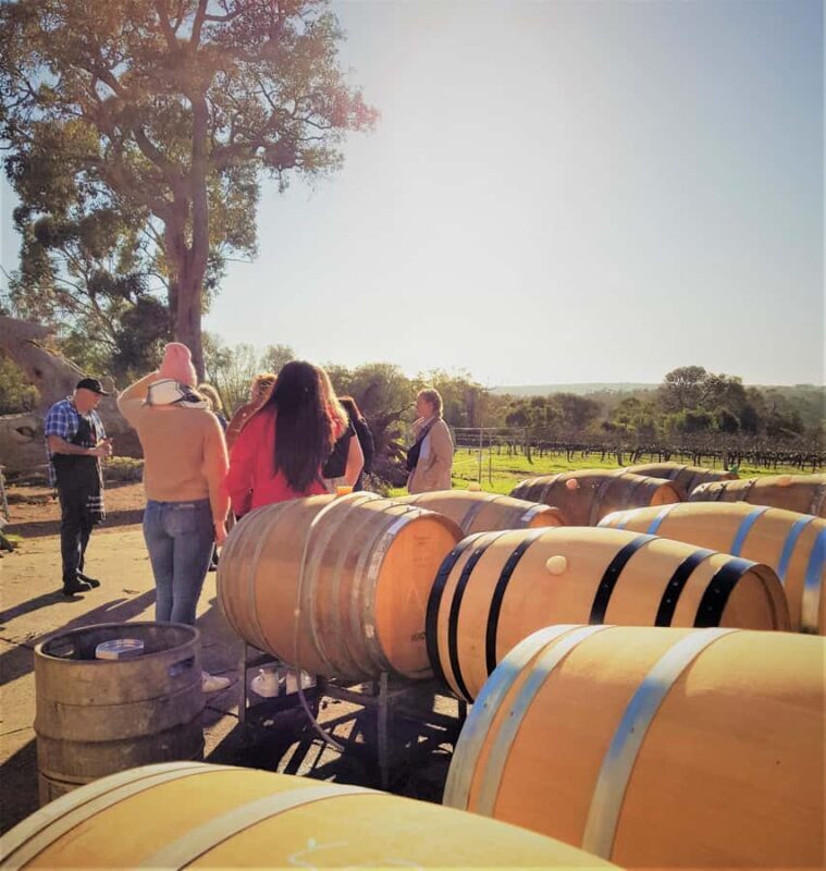Secret Delights: Curated Wine, Coffee & Forest Experience - Key Points