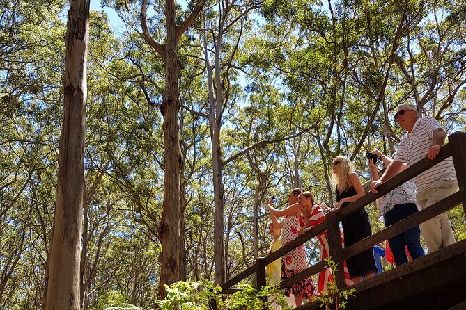 Secret Delights: Curated Wine, Coffee & Forest Experience - Practical Details That Matter
