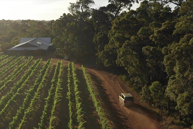 Secret Delights: Curated Wine, Coffee & Forest Experience - Final Thoughts