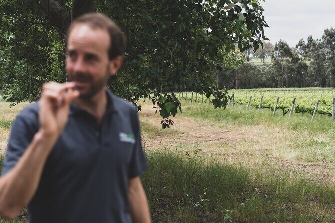 Secret Delights: Curated Wine, Coffee & Forest Experience - FAQ