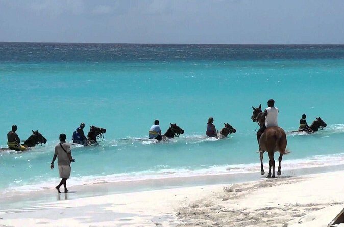 Secret Falls, Blue Hole, and Horseback Riding from Ocho Rios - Final Thoughts: Is This Tour Right for You?