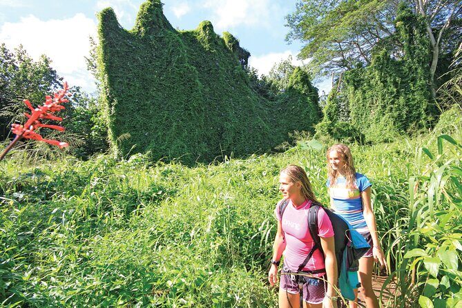 Secret Falls Kayak and Hike in Kauai - The Itinerary—What to Expect from Start to Finish