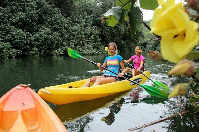 Secret Falls Kayak and Hike in Kauai - Logistics, Cost, and Overall Value