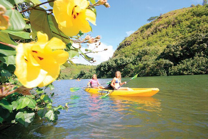 Secret Falls Kayak and Hike in Kauai - What Travelers Say: Authentic Feedback from Reviews