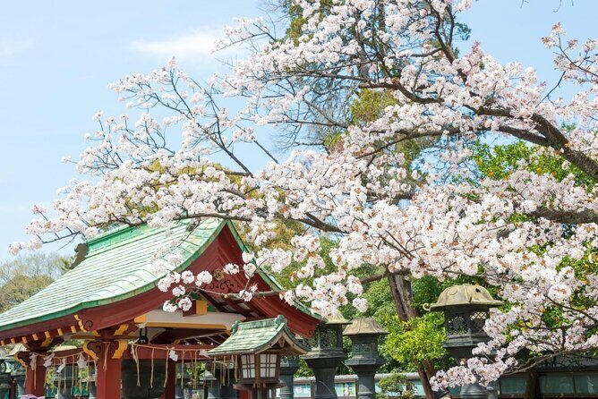 Secret Food Tours Tokyo w/ Private Tour Option - A Foodie Journey in Tokyo’s Ueno District