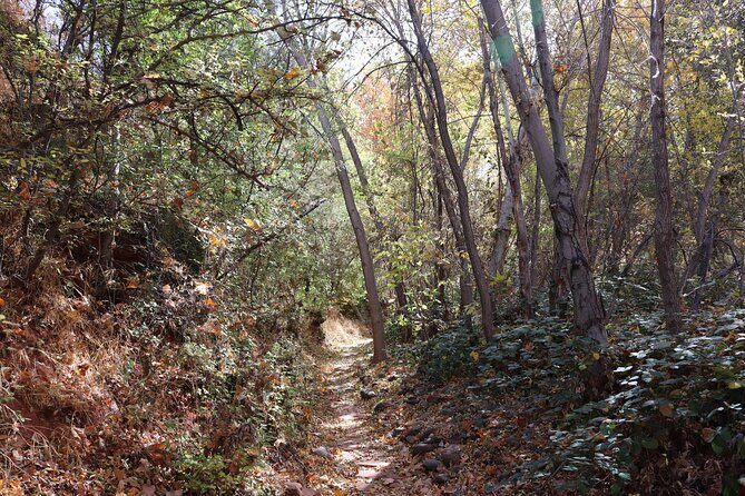 Sedona Easy Hiking Tour with a Private Guide - Who Should Book This Tour?