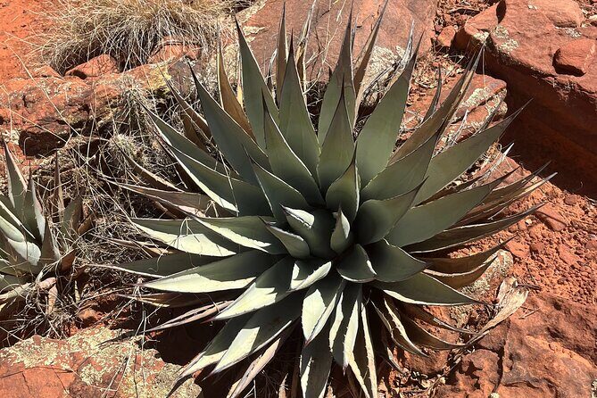 Sedona Magical Sightseeing Highlight Tour- 5 Stars - FAQ