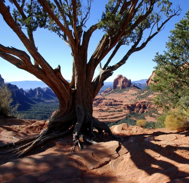 Sedona: PRIVATE 2-Hour Colorado Plateau Scenic Jeep Tour - Frequently Asked Questions