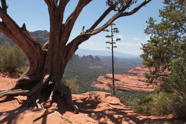 Sedona: PRIVATE 2-Hour Colorado Plateau Scenic Jeep Tour - FAQs