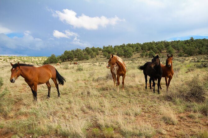 Sedona Private Custom Tour - Key Points