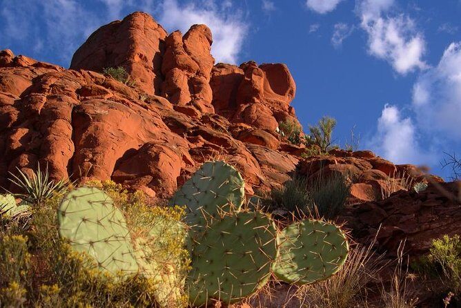 Sedona Red Rocks Outback Tour: Scenic with mild off-roading - An In-Depth Look at the Sedona Red Rocks Outback Tour