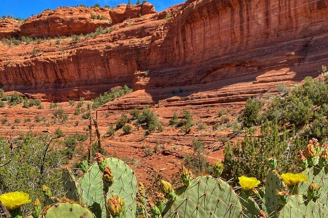 Sedona Sacred Canyons Loop Hike With a Private Guide - Who Will Love This Tour?