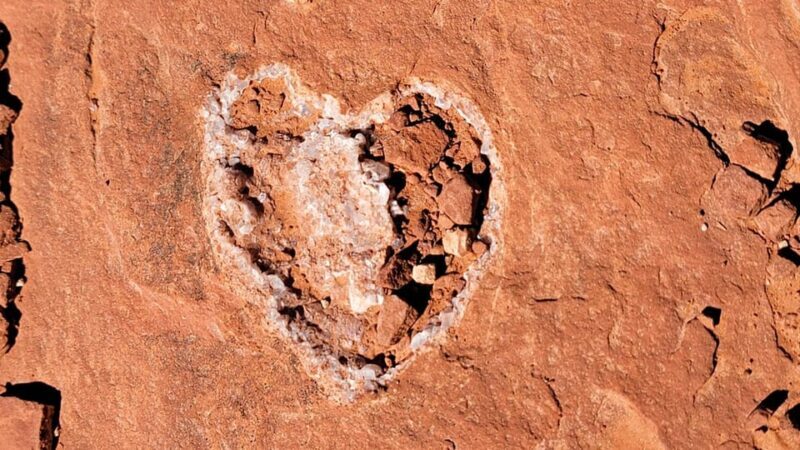 Sedona: The Scientific and Spiritual Vortex Tour - The Experience’s Highlights