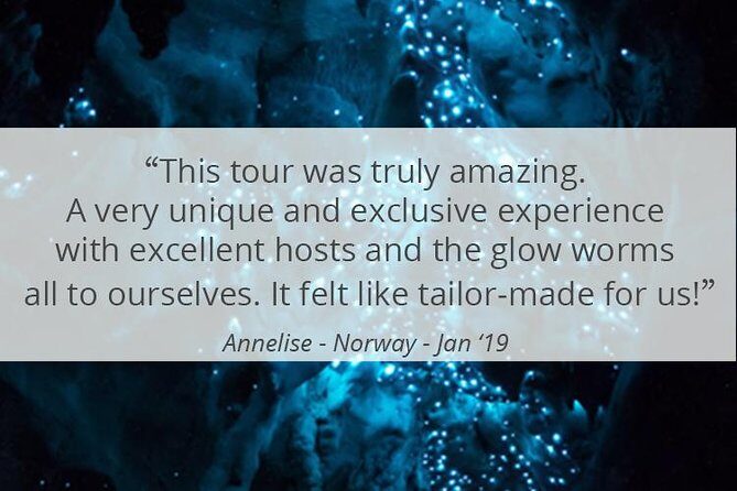 See Auckland's Secret Glow Worms - Exploring the Itinerary: What You Can Expect