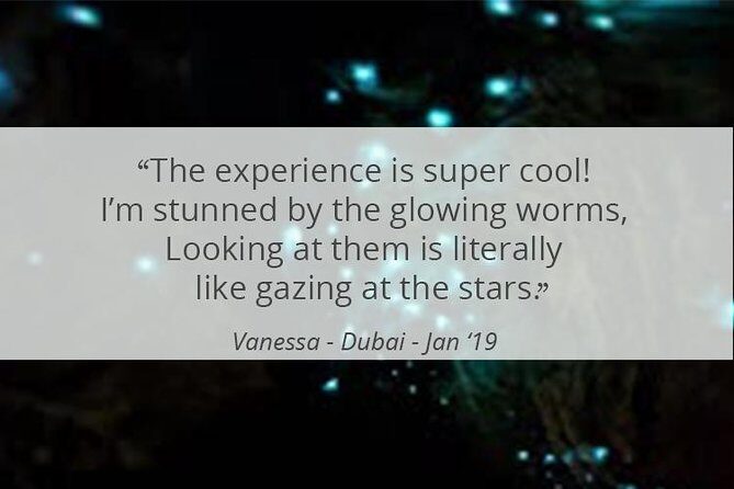See Auckland's Secret Glow Worms - Practical Details: Making the Most of Your Experience