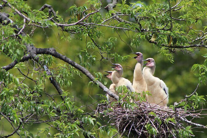 See Crystal River - National Wildlife Refuge Sightseeing Cruise - Frequently Asked Questions