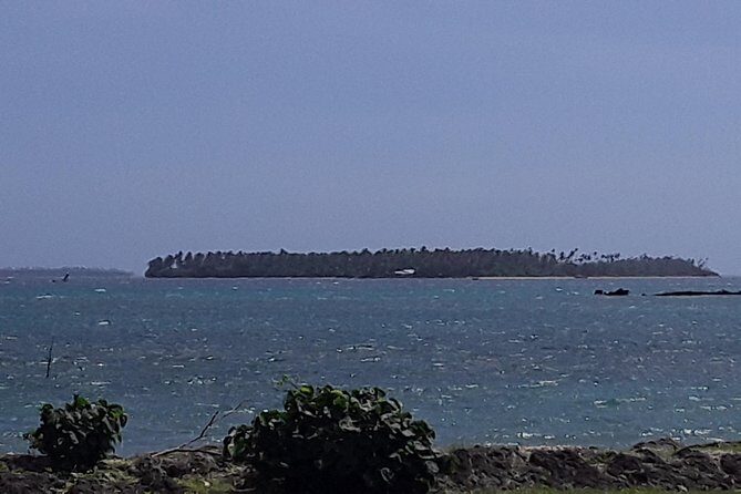 See Hear and Experience Full Island tour - The Experience from the Reviews