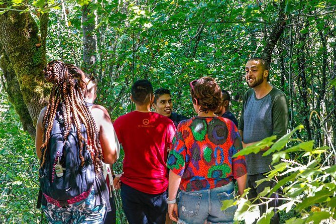 See Multnomah, two waterfalls & Vista House (Transport Included) - The Sum Up