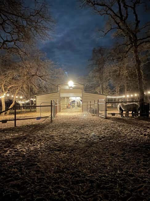 Seguin: Alpaca Experience and Adventure Tour - Who Will Love This Tour?