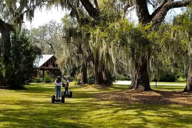 Segway Eco Discovery Tour at Honey Horn (90 minutes) - Key Points