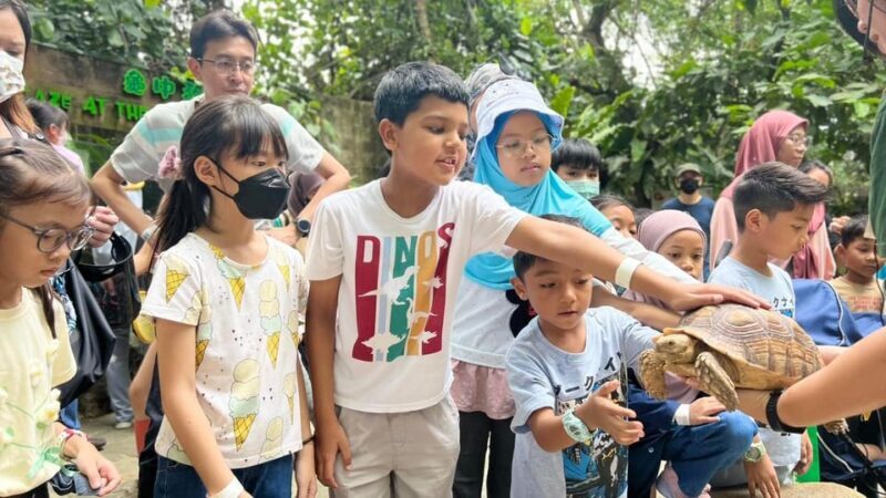 Selangor: Farm In The City Entry Ticket - Final Thoughts
